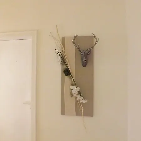 Willma Apartmenthaus Beelen